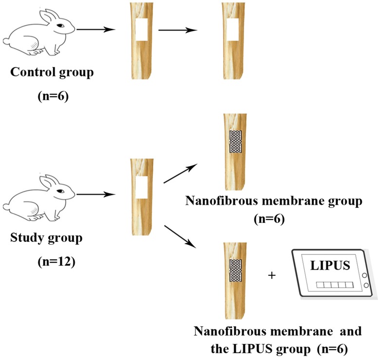 Figure 1.