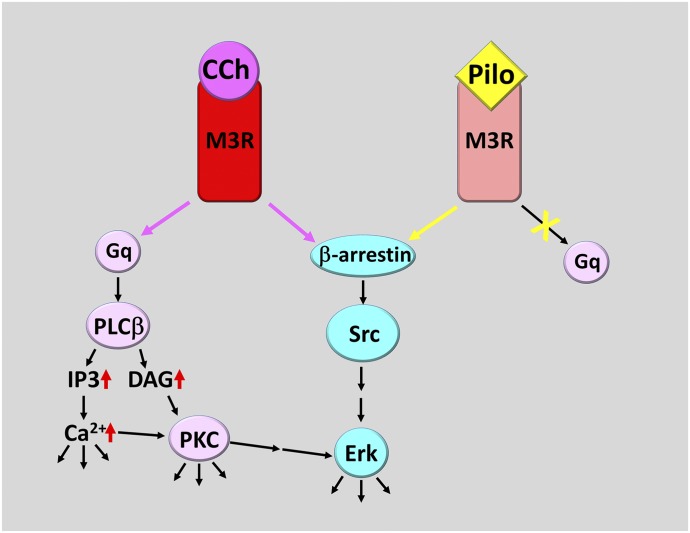 Fig. 9.