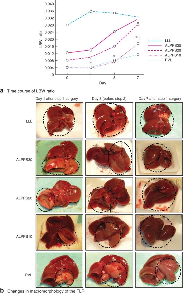 BJS5-18-FIG-0002-c