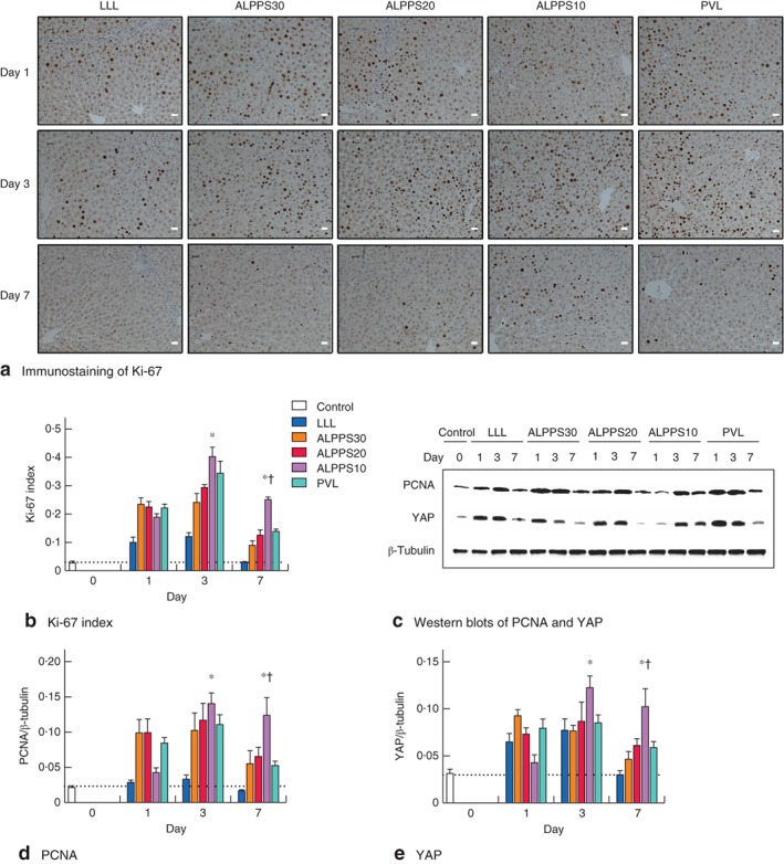 BJS5-18-FIG-0005-c