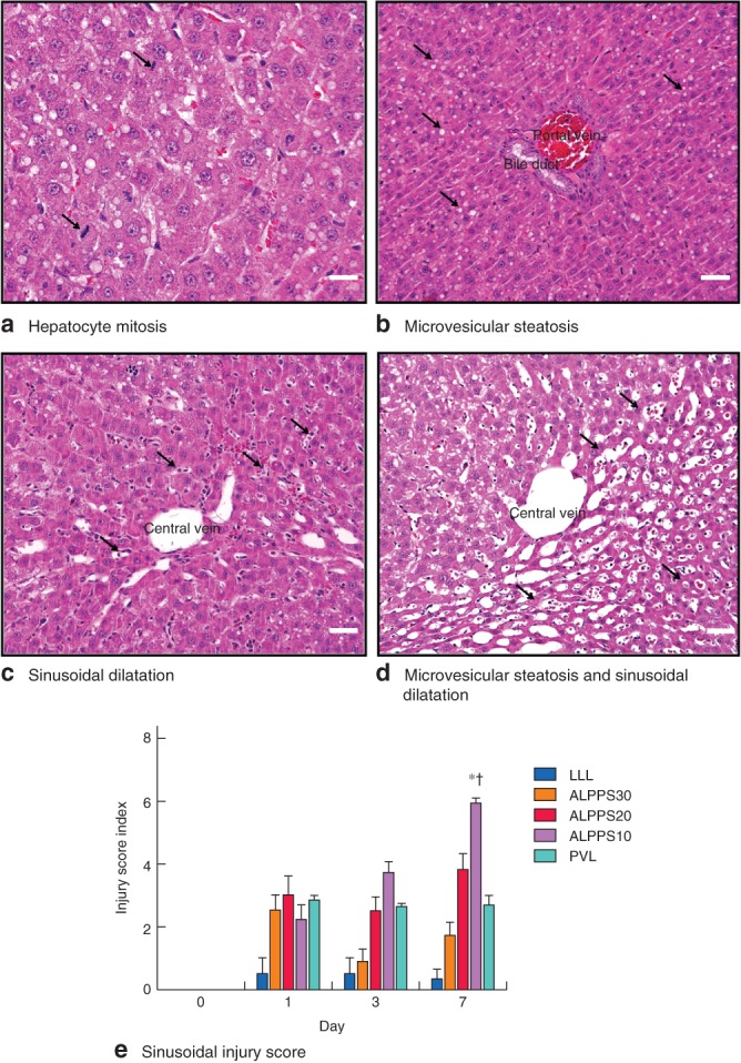 BJS5-18-FIG-0003-c