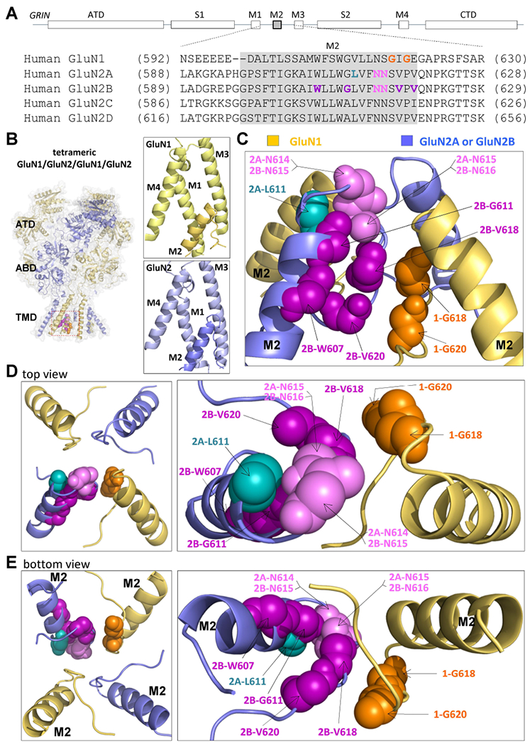 Figure. 1