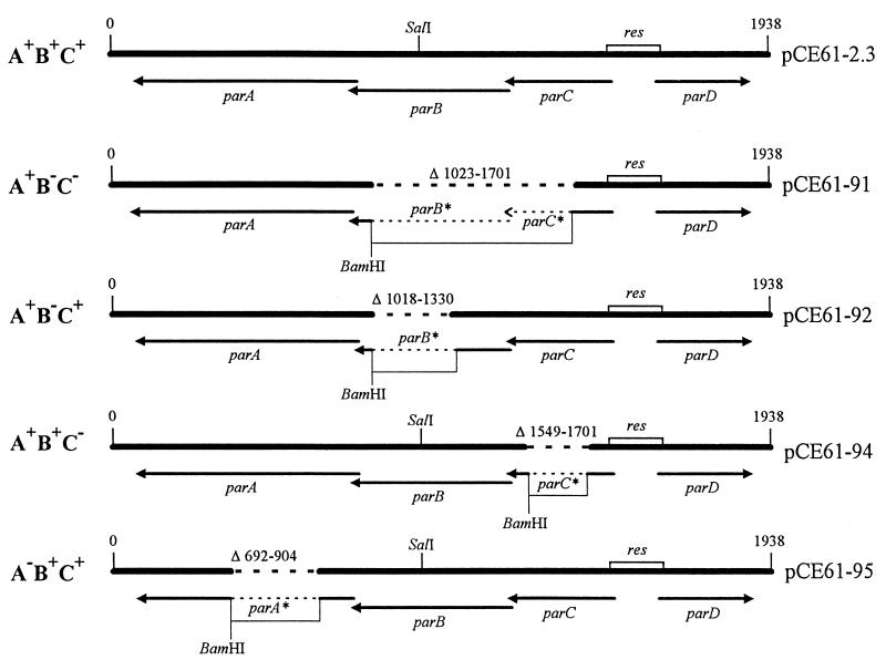 FIG. 1