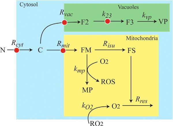 FIGURE 1.