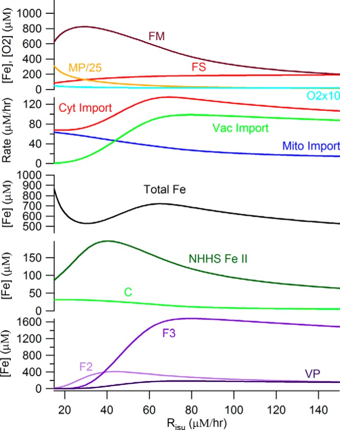 FIGURE 4.