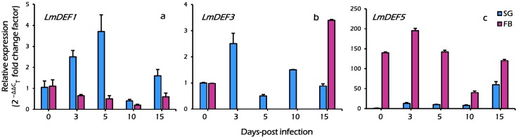 Fig 6