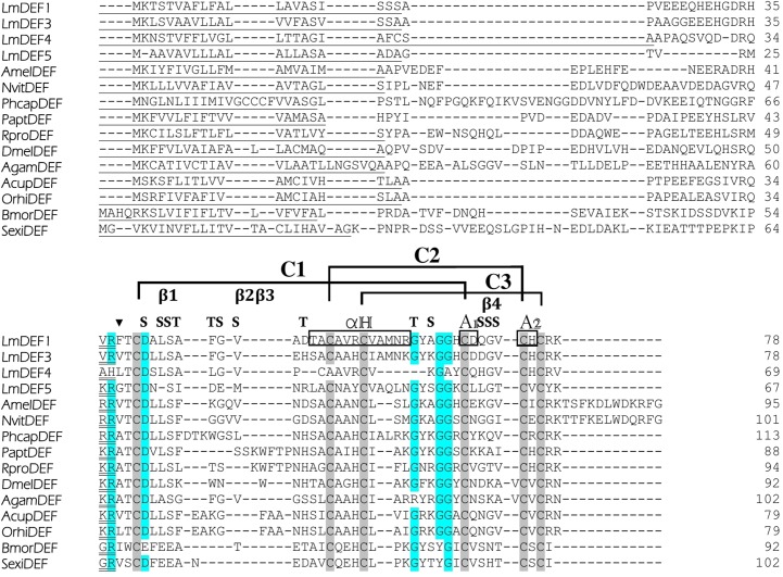 Fig 1