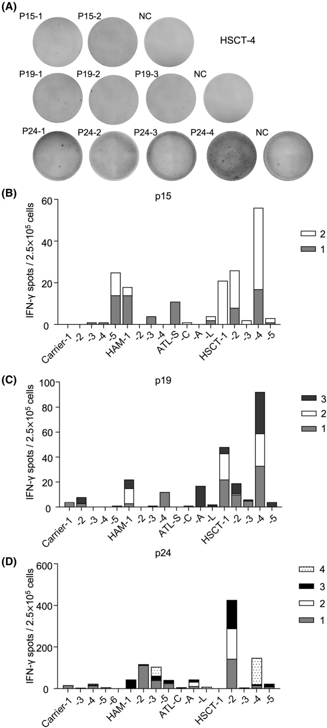 FIGURE 4