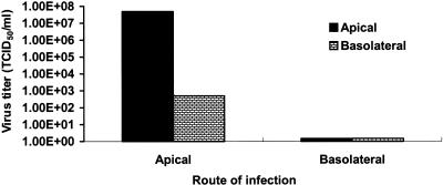 FIG. 9.