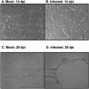FIG. 4.