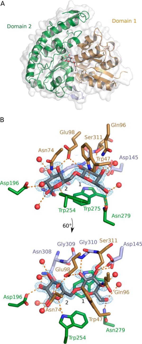 Figure 3.