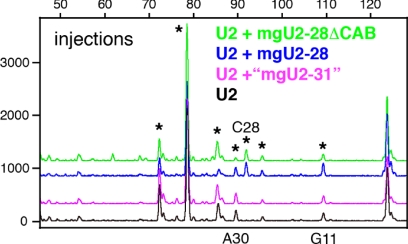 Figure 4.