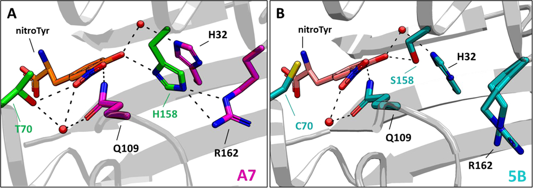 Figure 7.