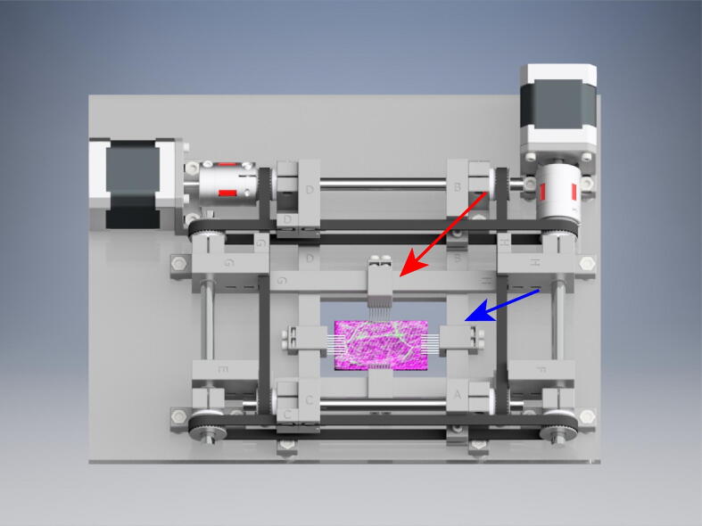 Fig. 19