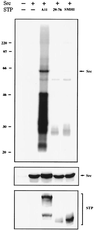FIG. 5