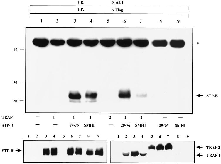 FIG. 7