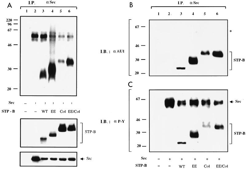 FIG. 6