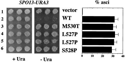 FIG. 7