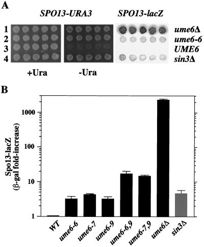 FIG. 8