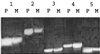 FIG. 5
