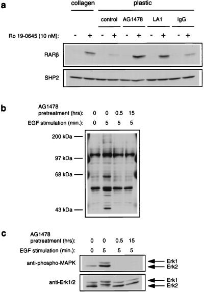 FIG. 8