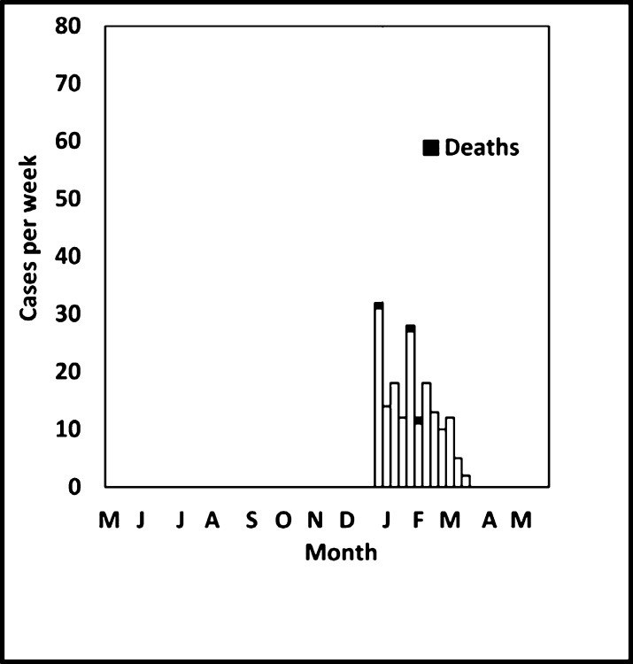 Fig 2c