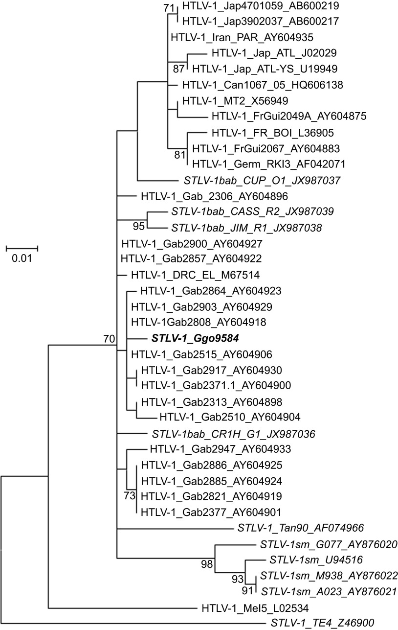 Figure 6