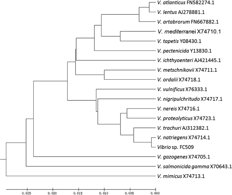 FIGURE 1.