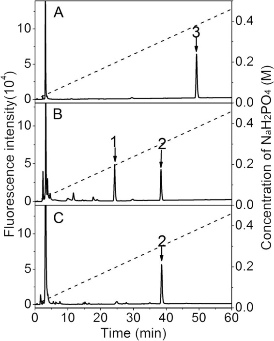 FIGURE 7.