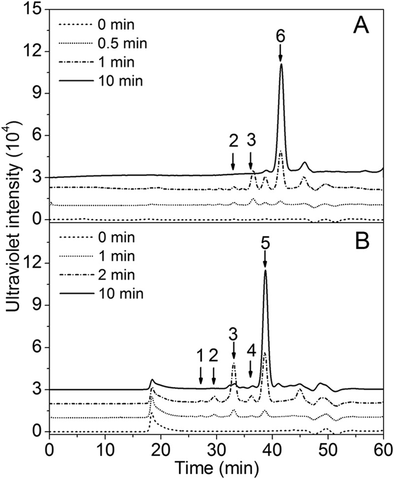 FIGURE 4.