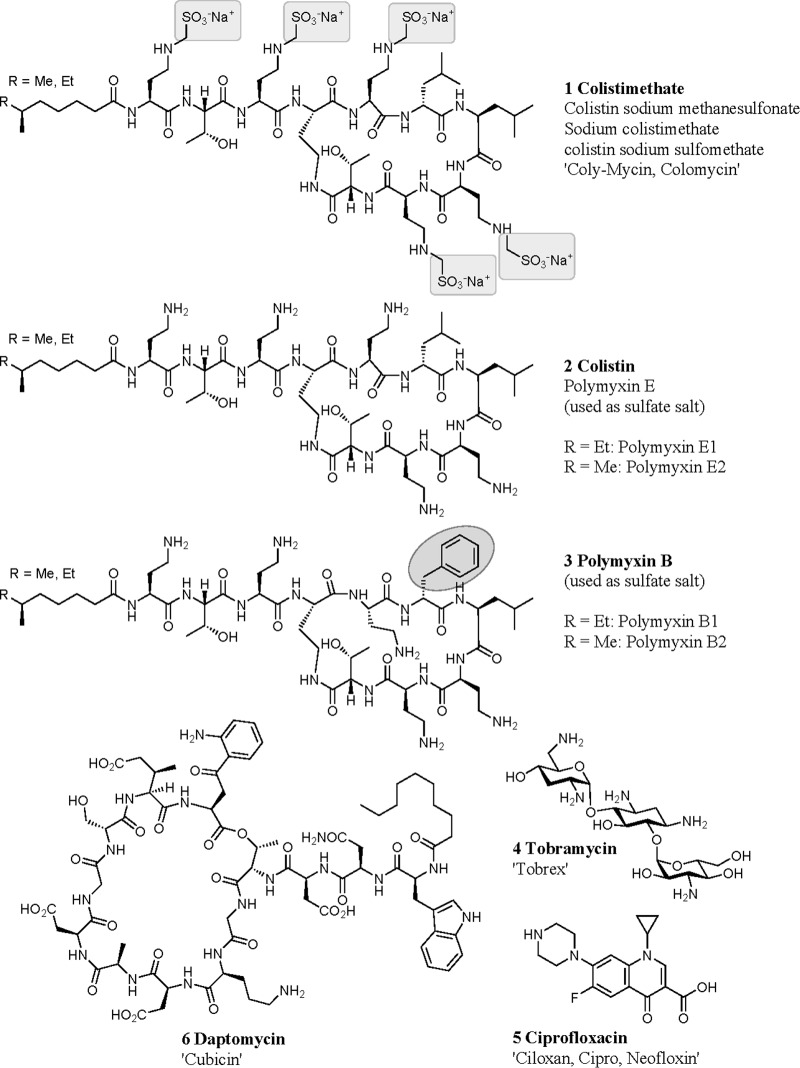 FIG 1