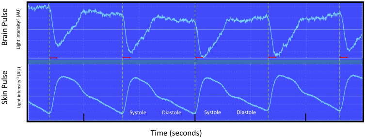 Figure 7