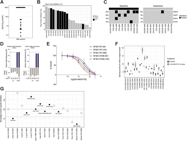 Figure 6. Mutations in splicing factor (SF) genes confer an increased PRMT5 inhibitor sensitivity in ex vivo primary AML samples and in vitro SF mutant engineered cell lines. In vivo, JNJ-64619178 treatment led to increased aberrant splicing events, whereas no correlation between SF mutations and JNJ-64619178 efficacy was observed in solid tumor PDX models. A, Antiproliferative effect measured as IC50 value (nmol/L) of JNJ-64619178 in 20 primary AML samples assessed after 6 days of treatment. B, Day 6 maximal growth inhibition upon JNJ-64619178 treatment compared with baseline in primary AML samples encoding wild-type (WT) or SF mutations (Mutant). C, Heatmap showing SF mutations detected in JNJ-64619178-sensitive and -insensitive primary AML samples (D) K562 cells from WT clones (49, 154, and 389) and SF3B-K700E CRISPR/CAS9 knockin clones (87 and 150) were DNA-seq and RNA-seq to quantitate SF3B1 WT and isogenic K562-K700E mutant allele frequency (%). E, Growth curves normalized to untreated cells are shown for the SF3B1 WT (blue) and SF3B1-K700E mutant (red) following 6 days of JNJ-64619178 exposure at depicted concentrations. F, Alternative splicing burden of solid tumor PDX models before and after daily JNJ-64619178 treatment for 28 days compared with untreated tumors, measured from RNA-seq analysis for the number of novel splicing events per million mapped reads. F, Seventeen PDXs models from 5 different tumor types encoding WT (open circles) or SF mutation (Mutant, closed circles) were assessed for in vivo sensitivity to JNJ-64619178. In this assay, in vivo efficacy of daily-dosed JNJ-64619178 (10 mg/kg) is represented as the percentage of tumor growth inhibition (% TGI) compared with vehicle control on day 28 treatment. Dash bars across the graph represents 80% and 100% TGI.