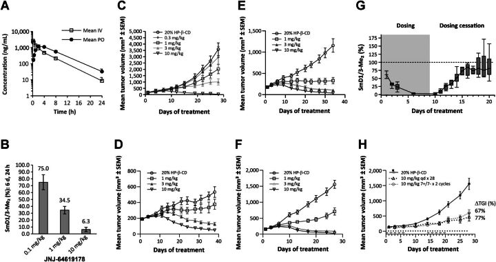 Figure 4. JNJ-64619178 pharmacokinetic properties contribute to inhibition of Sym-Arginine SmD1/3 dimethylation in tumors and efficacy in multiple human lung cancer xenograft models under continuous or intermittent compound dosing. A, Plasma concentrations of JNJ-64619178 over 24 hours following a single intravenous (2.5 mg/kg in PBS) or oral [PO, 10 mg/kg in 20% 2-Hydroxypropyl-β-cyclodextrin solution (20% HP-β-CD)] administration in C57BL/6 mice. Mean ± standard deviation was plotted for 3 animals. B, SmD1/3Me2 levels in tumors from NCI-H1048 lung cancer xenograft-bearing mice (n = 3 mice/group) 24 hours after 6 consecutive days of daily oral administration of JNJ-64619178 (0.1, 1.0, 10 mg/kg). SmD1/3Me2 levels detected by immunoblotting (Supplementary Fig. S9A) were quantified and represented as the percentage (%) of SmD1/3Me2 levels in tumor samples from vehicle (20% HP-β-CD) treated mice. Antitumoral effect of JNJ-64619178 in (C) NCI-H1048, (D) NCI-H441, (E) A427, and (F) NCI-H520 NSCLC xenograft tumors following daily oral treatment for 28, 38, 34, and 27 days, respectively. JNJ-64619178 was orally administered once daily at several doses (0.3, 1, 3, 10 mg/kg) to tumor-bearing nude mice (n = 8–10 mice/group). Mean tumor volume (mm3) ± standard error of the mean (SEM) was determined and plotted on graphs. Tumor growth inhibition (%ΔTGI) values are summarized in Supplementary Table S2. G, Time course of SmD1/3-Me2 levels in NCI-H1048 lung cancer xenograft tumors in mice dosed orally with JNJ-64619178 (10 mg/kg) for 9 consecutive days (gray region), followed by treatment cessation for 11 days. Tumors (n = 3 mice/group) were collected 2 hours after JNJ-64619178 dosing (days 0, 1, 2, 3, and 6) and every day following treatment cessation. SmD1/3-Me2 was detected by immunoblotting and levels normalized to the median levels of β-actin protein detected in tumors from vehicle (20% HP-β-CD)–treated mice. The percentage of SmD1/3-Me2 levels compared with the vehicle-treated group (defined as 100%), are shown as boxplots. Dotted line corresponds to the level of SmD1/3-Me2 in untreated samples. SmD1/3Me2 levels detected by immunoblotting (Supplementary Fig. S9D) were quantified and represented as the percentage (%) of SmD1/3Me2 levels in tumor samples from vehicle. H, Antitumoral effect in NCIH1048 xenograft-bearing mice (n = 8 mice/group) dosed orally once daily with vehicle (20% HP-β-CD) or JNJ-64619178 (10 mg/kg) for either 28 consecutive days or for two cycles of 7 days of drug treatment followed by 7 days dosing holidays (7+/7−, 2 cycles). Tumor growth inhibition (ΔTGI, %) was determined at day 28. In all xenograft studies, the average tumor volume at treatment initiation was about 150 mm3 and mean tumor volumes (mm3) ± SEM of each group were plotted over time.