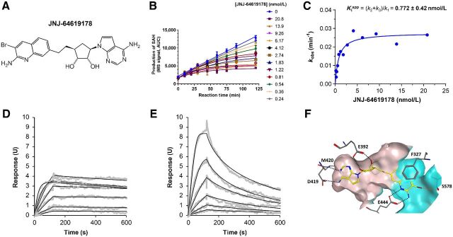 Figure 1. JNJ-64619178 potently inhibits the PRMT5/MEP50 complex with a long-residence–binding time mechanism through interaction with PRMT5's SAM and substrate binding pockets. A, JNJ-64619178 chemical structure. B, Inhibition of PRMT5 by JNJ-64619178 was studied in a reaction mixture of 10 μmol/L SAM, 1 μmol/L histone H2A, and 0.156 nmol/L enzyme in the absence or presence of JNJ-64619178 at different concentrations as depicted in Fig. 1B. Production of SAdenosyl–L-homocysteine (SAH) was followed as a function of reaction time. Reaction progress curves were fit to Eq. 1 to derive the inhibition rate constant kobs at each compound concentration. C, Plot of derived kobs versus JNJ-64619178 concentration was fit to a hyperbolic function of Eq. 2. Binding and dissociation curves to and from immobilized PRMT5/MEP50 complex were measured by surface plasmon resonance (SPR for (D) JNJ-64619178 and (E) Cpd-2. PRMT5/MEP50 complex was immobilized on a CM5 sensor chip and increasing concentrations of JNJ-64619178 or Cpd-2 (1.56–100 nmol/L) were added to determine the binding kinetics. Compound association to and dissociation from the immobilized PRMT5/MEP50 complex, described previously as SPR response units (RU), were plotted against time (s). F, X-ray co-crystal structure of JNJ-64619178 bound to the active site of the PRMT5:MEP50 complex (PDB ID: 6RLQ). JNJ-64619178 is shown in yellow and key PRMT5 interaction residues are shown as gray sticks. Oxygen atoms are colored red, nitrogen atoms blue, and the bromine atom in maroon. Hydrogen bonds are depicted as black-dashed lines and the halogen bond as an orange-dashed line. The binding site surface of PRMT5 is depicted and the putative SAM-binding site is colored in ivory whereas the substrate-binding site is colored in cyan.