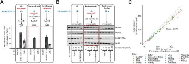 Figure 3. JNJ-64619178 promotes cellular PRMT5 thermal shift stabilization and leads to prolonged pathway inhibition after compound washout. A, NCI-H1048 cells were treated with JNJ-64619178 (0.1 μmol/L) or Cpd-2 (10 μmol/L) for either 1 hour (1-hour treatment), 1 hour followed by compound washout and further incubation in compound-free complete media for 72 hours (after washout), or continuously for 72 hours (continuous treatment). Thermal shift (60°C for 3 minutes) was applied, and soluble proteins (supernatant) were separated by WES (ProteinSimple). PRMT5 levels were quantitated, normalized to β-actin and plotted. Dashed red rectangle highlights the washout treatment. Error bars represent mean ± standard deviation (SD). B, PRMT5 downstream signalling in NCI-H1048 cells after compound treatment assessed by immunoblotting against SmD1/3-Me2, SmD3, PRMT5, and MEP50. Cells were either treated with JNJ-64619178 (0.03 and 0.3 μmol/L) or Cpd-2 (0.3 and 3.0 μmol/L) or DMSO (No treatment) as indicated. Dashed red rectangle highlights the washout treatment. C, Inhibition of cell proliferation under intermittent (wash out; y-axis) and continuous (no wash out; x-axis) treatment with JNJ-64619178 (10 pmol/L–1 μmol/L dose response) was assessed over 10 days and AUC (% inhibition/nmol/L) was plotted for 94 cancer cell lines from multiple cancer types (each cancer type represented by different color dots). For washout condition, exponentially growing cells were treated for 3 days with JNJ-64619178, followed by extensive compound washout. Cell growth inhibition was determined after 7 additional days after washout. For the 10-day continuous compound treatment condition (no wash out), cells were continuously treated with JNJ-64619178 at the same concentrations as described above. Linear regression (slope = 0.873) was determined (Pearson's correlation = 0.993).