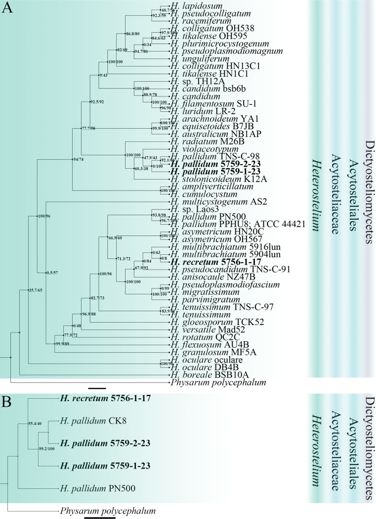 FIG 4