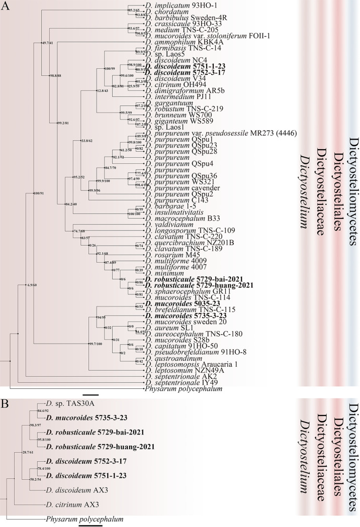 FIG 3