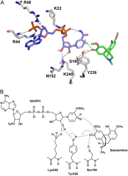 Figure 4.