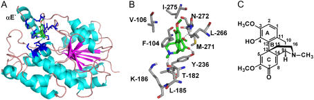 Figure 5.