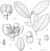 Figure 9.