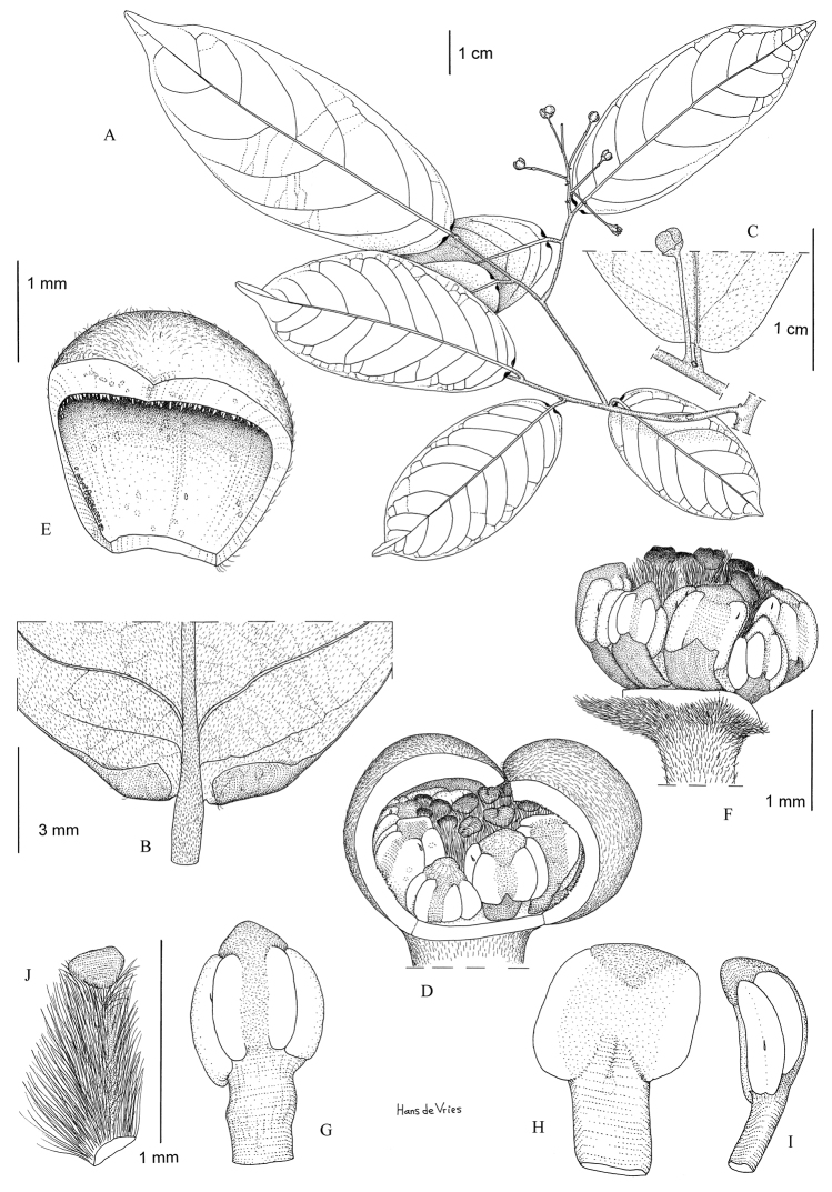 Figure 13.