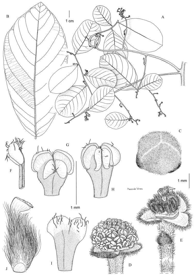 Figure 14.