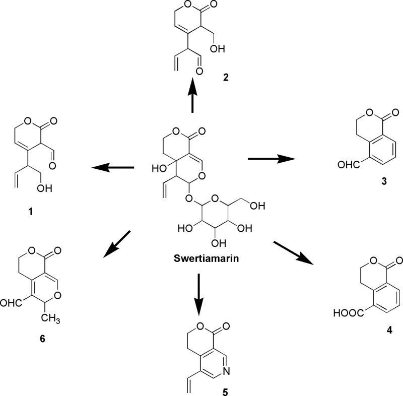 Figure 10