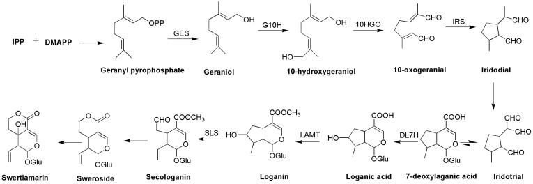 Figure 6