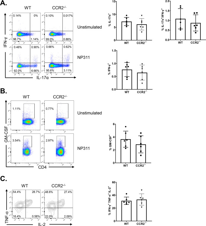 FIG 6