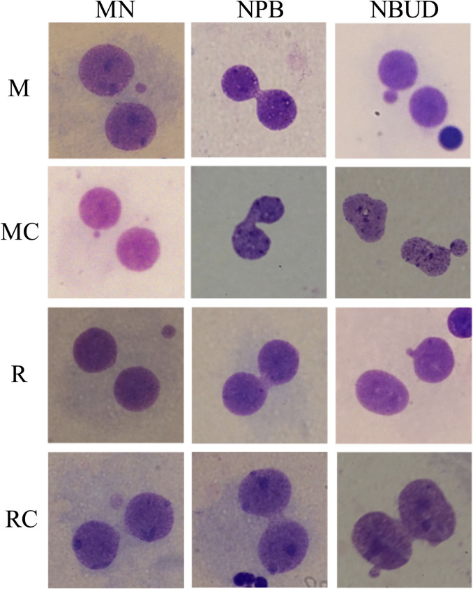 FIGURE 4