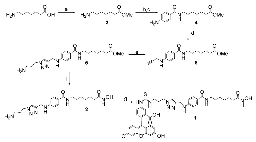 Scheme 1