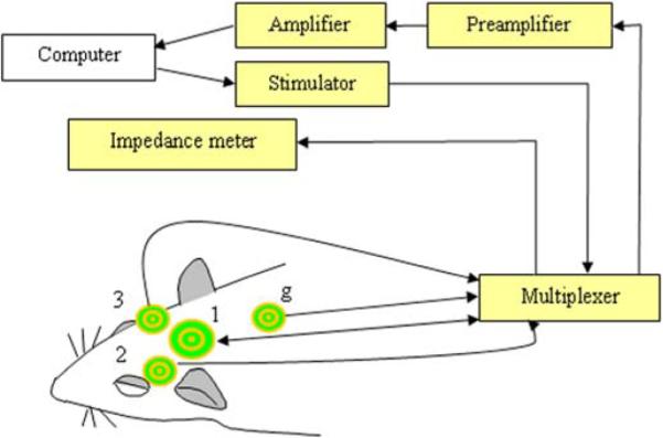 Fig. 1