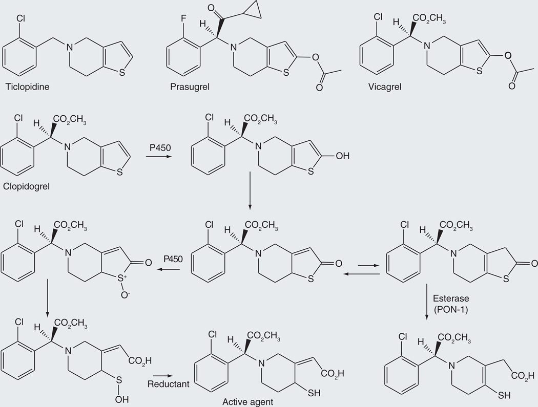 Figure 12